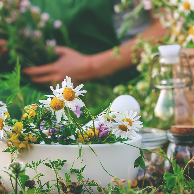 Have you Entered the Sage Phase of life?